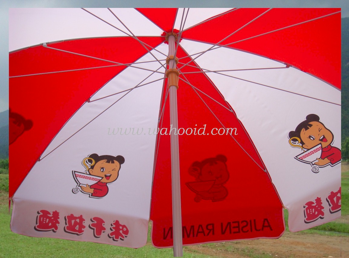 wp4808ajisen_L_2.jpg (181071 bytes)