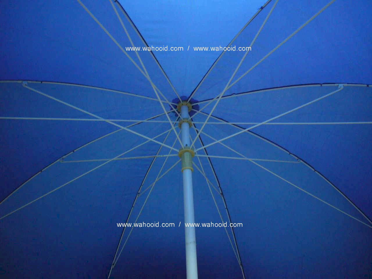 wp4808b-1.JPG (109700 bytes)