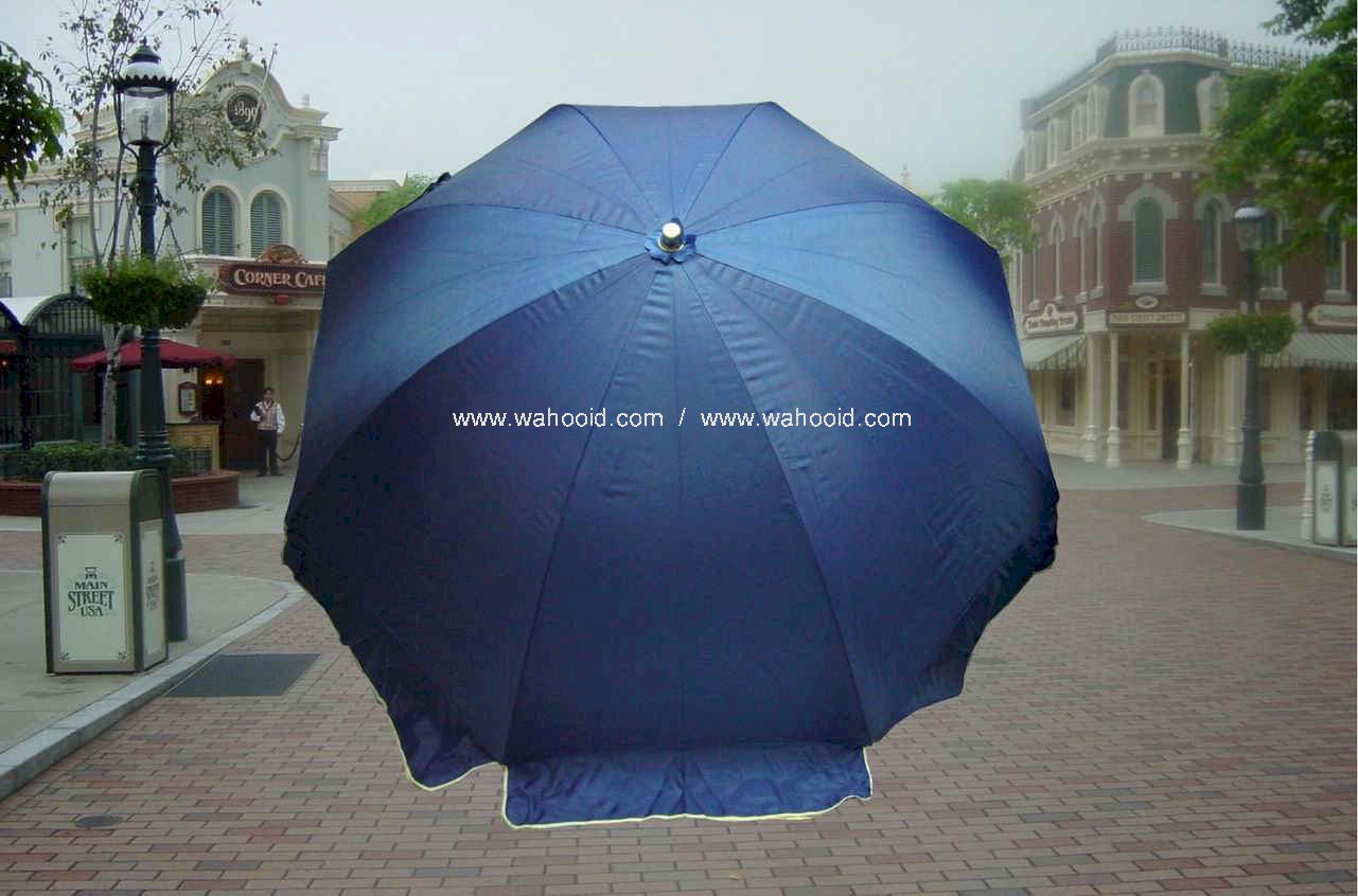 wp4808b-2.jpg (137909 bytes)