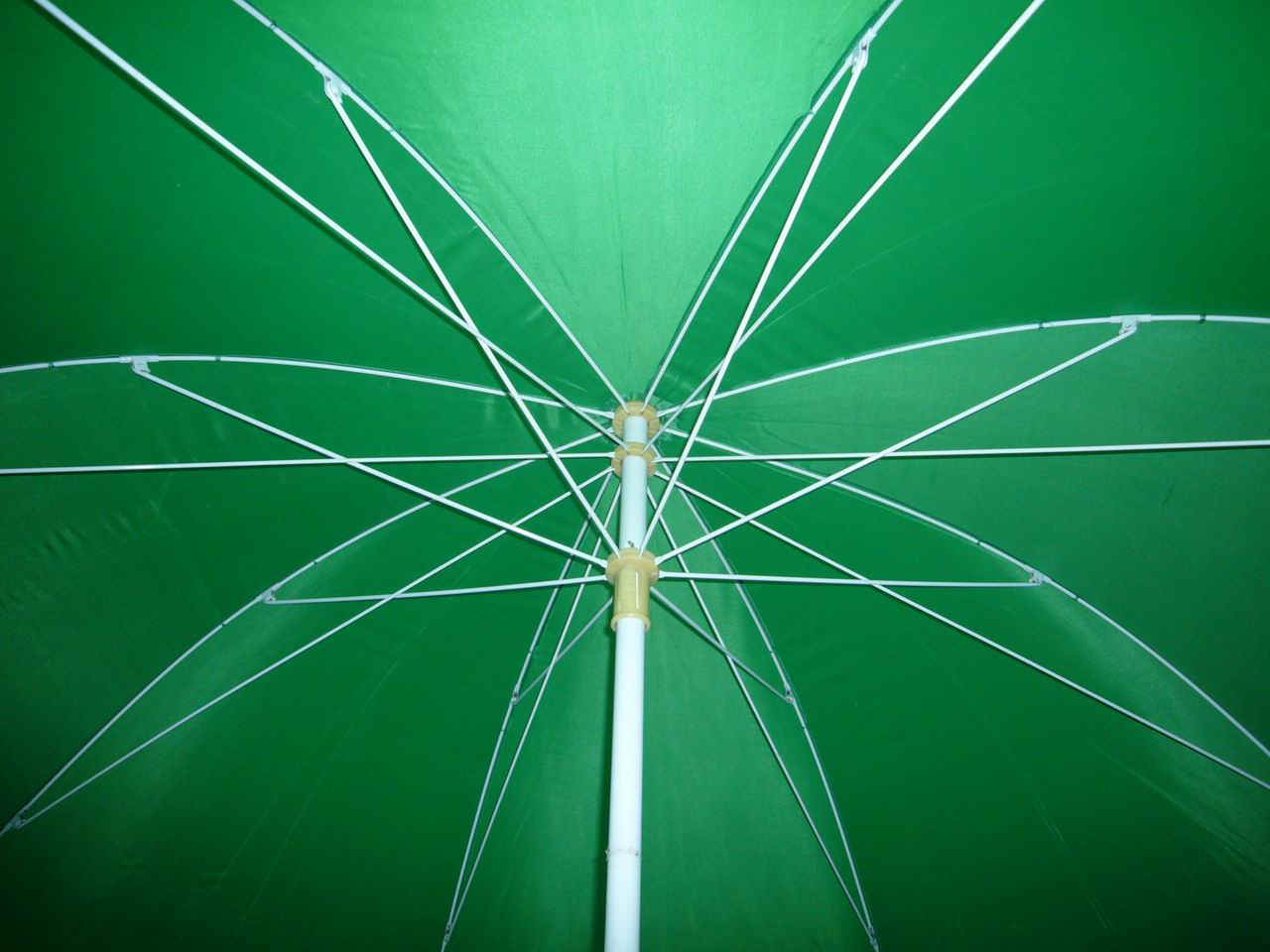 wp4808dg-1.JPG (129736 bytes)