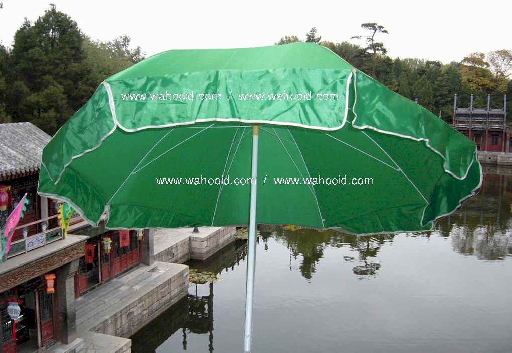 wp4808dg.jpg (118445 bytes)