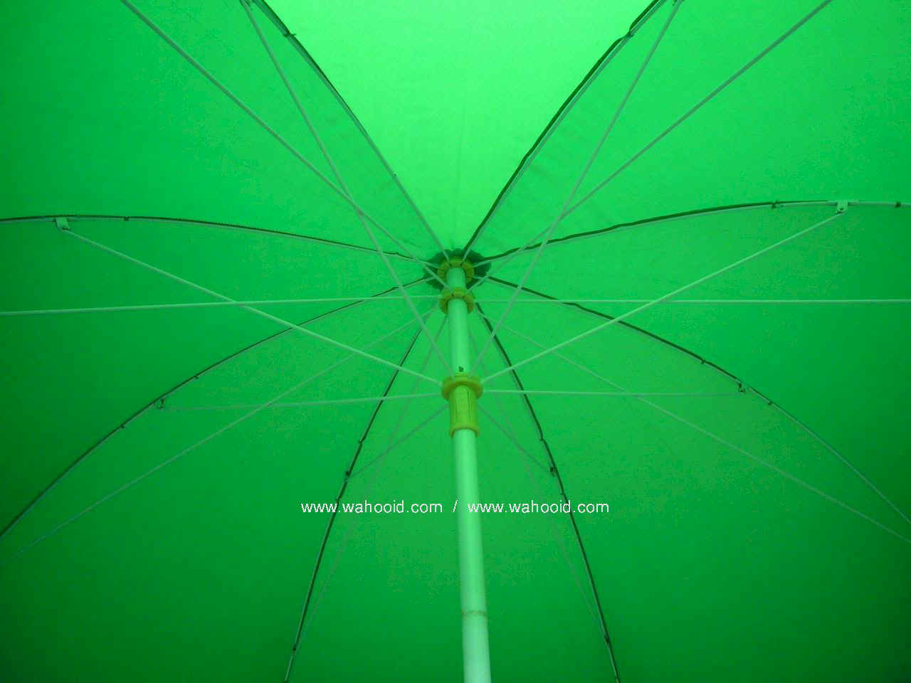 wp4808g-2.JPG (95399 bytes)