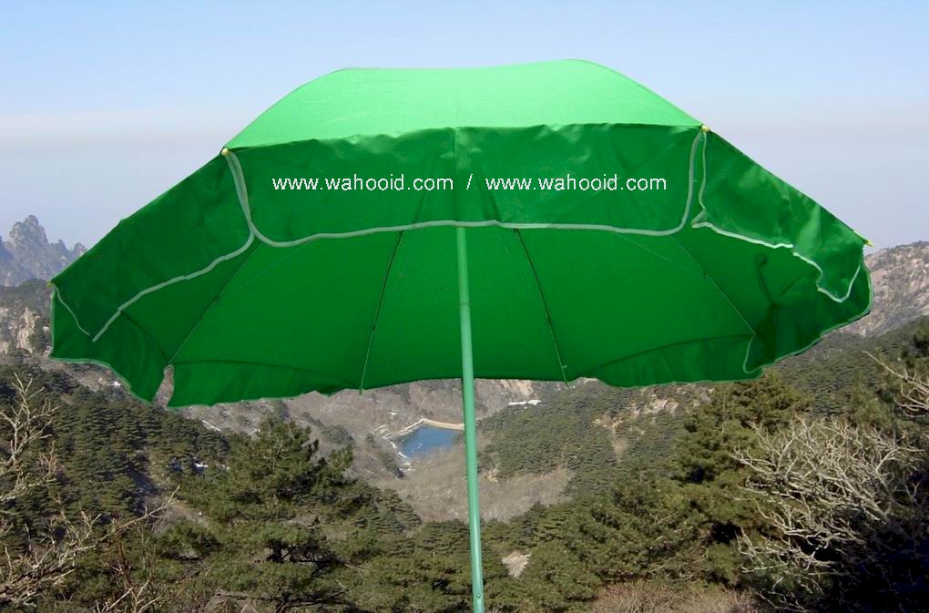 wp4808g.jpg (159846 bytes)