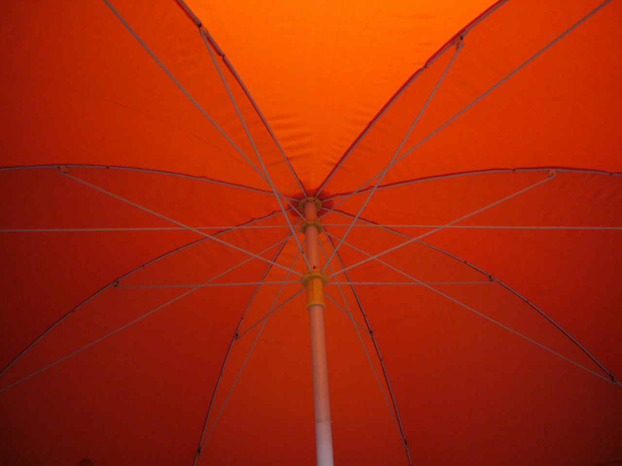 wp4808r2-1.JPG (79992 bytes)