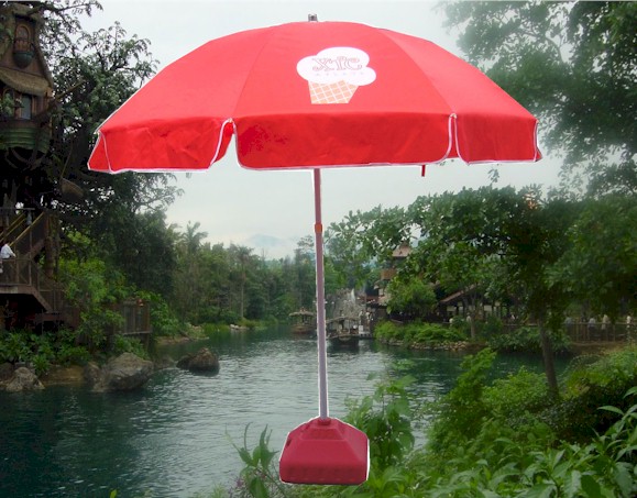 Click tTo Enlarge / wp4808xtc_s.jpg (59623 bytes)