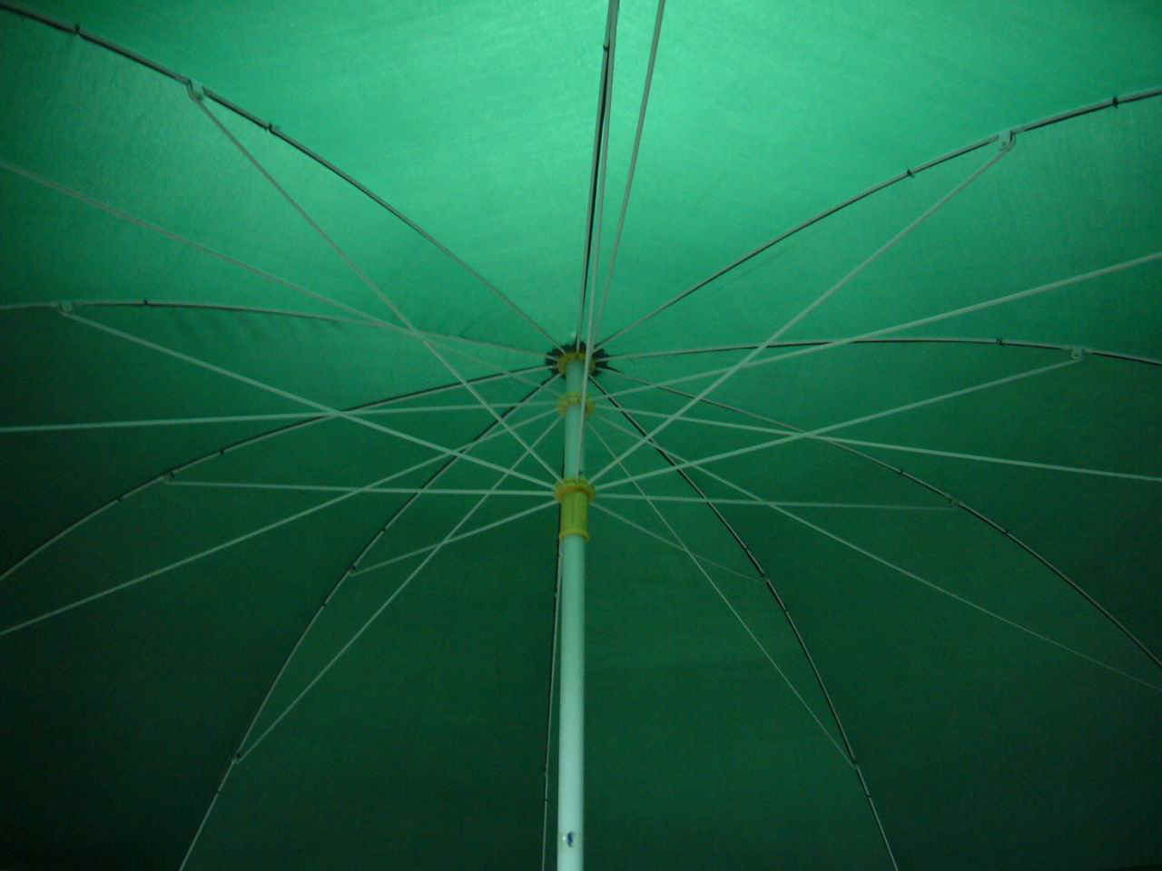 wp6010dg-1.JPG (101698 bytes)