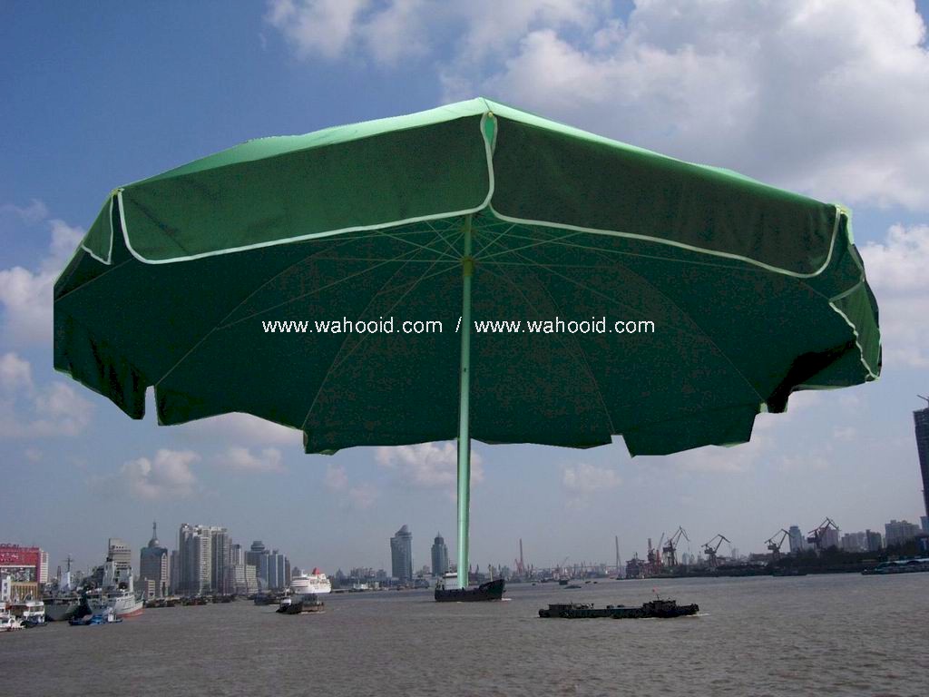 wp6010dg.jpg (129824 bytes)