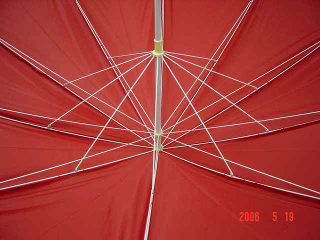 wp6010r-2.JPG (32528 bytes)